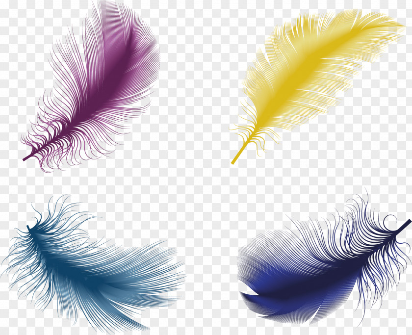 Color Feather Material The Floating Bird Euclidean Vector PNG