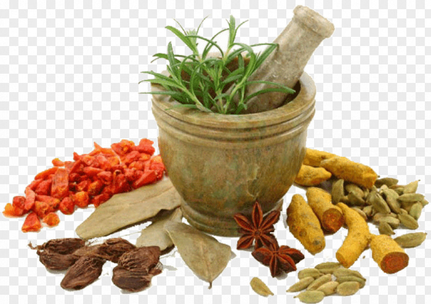Fine Herbs Ayurveda Kottakkal Physician Yunani Medicine PNG