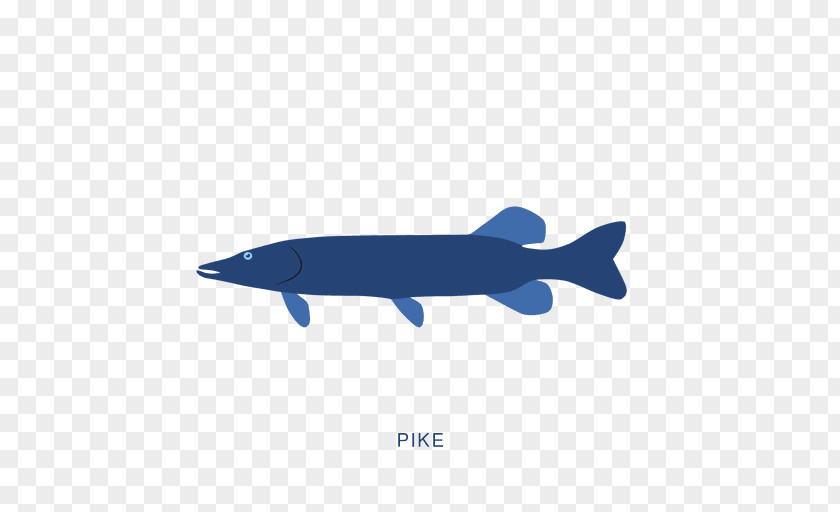 Fish Sardine Animal PNG