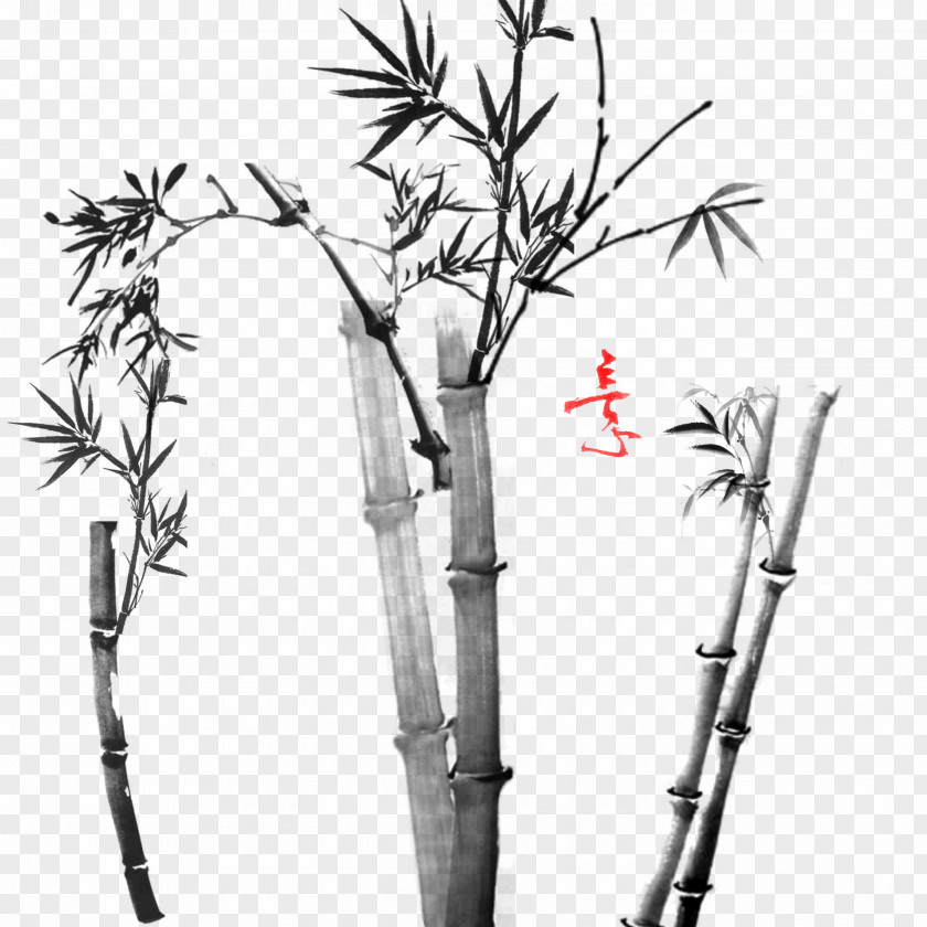 Freehand Bamboo Download Elements, Hong Kong Google Images PNG