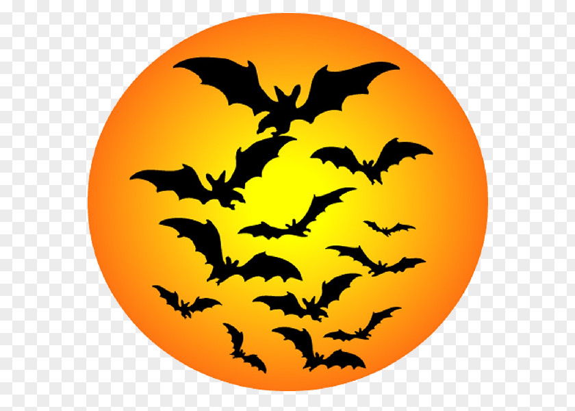 Halloween Moon Bat Clip Art PNG