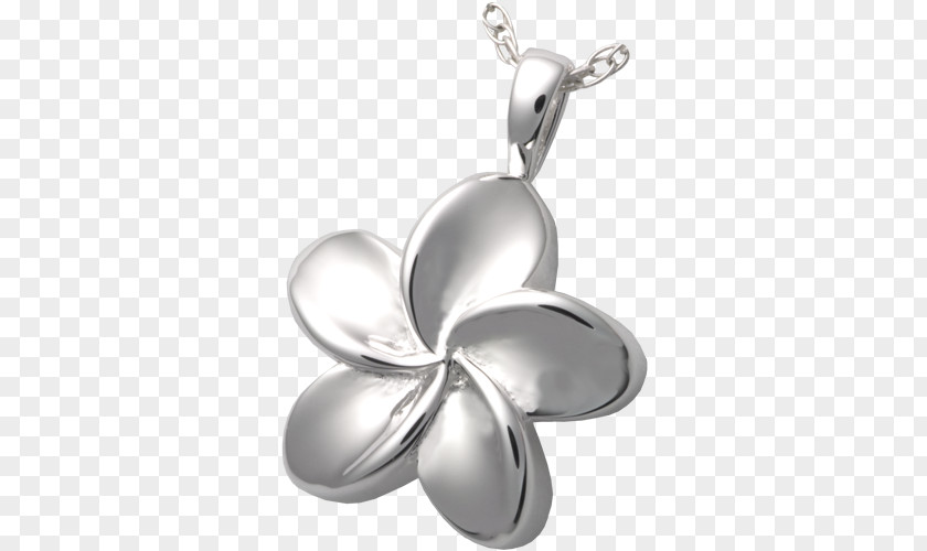 Necklace Locket Silver Charms & Pendants Jewellery PNG