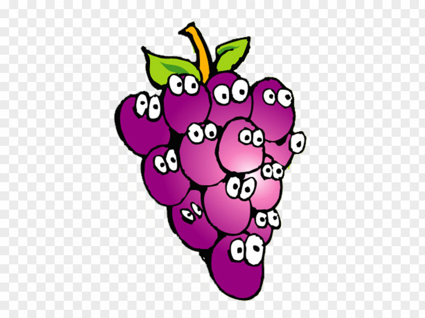 Purple Grape Aguardiente Cartoon Drawing PNG