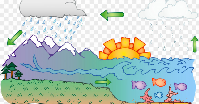 Water Cycle Diagram Clip Art PNG