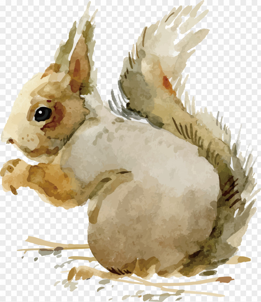 Watercolor Bunny Domestic Rabbit Adobe Illustrator PNG