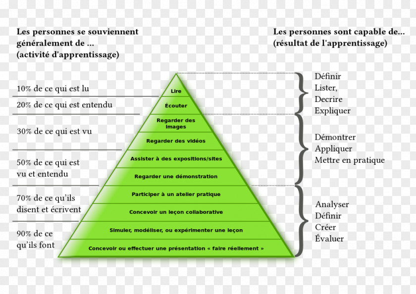 Learning Cône De L'apprentissage Pedagogy Experience Processus D'apprentissage Des Adultes PNG