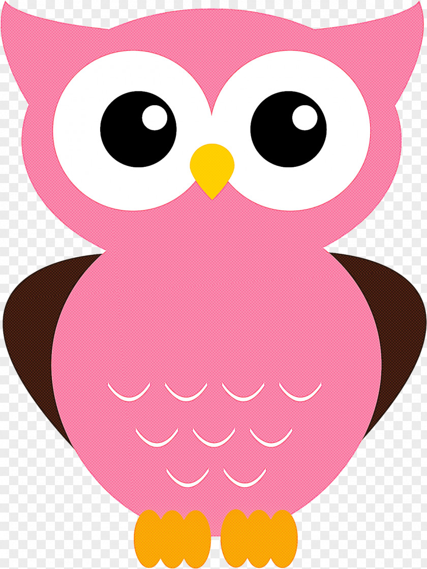 Owl Pink Cartoon Bird Of Prey PNG