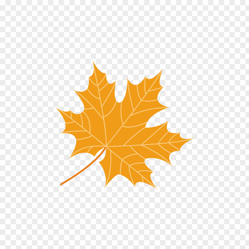 Yellow Five Angle Leaves Maple Leaf Green PNG