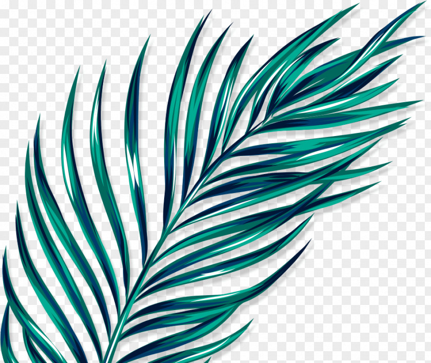 Leaf Line Turquoise PNG