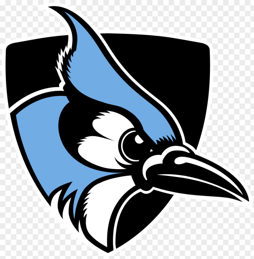 Mascot Logo Johns Hopkins University Blue Jays Men's Lacrosse Football Women's Basketball PNG