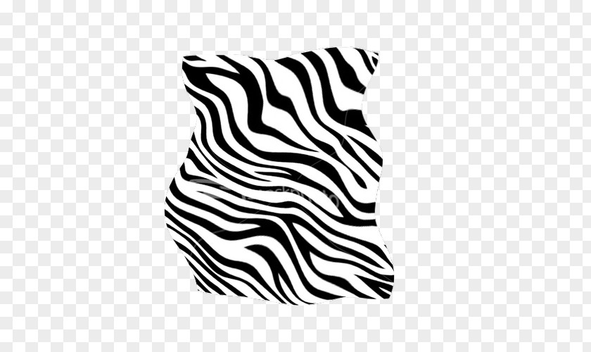 Zebra Cat Wildlife Line Font PNG