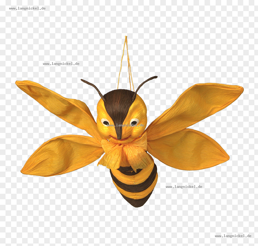 Bee Honey Moth Pest PNG