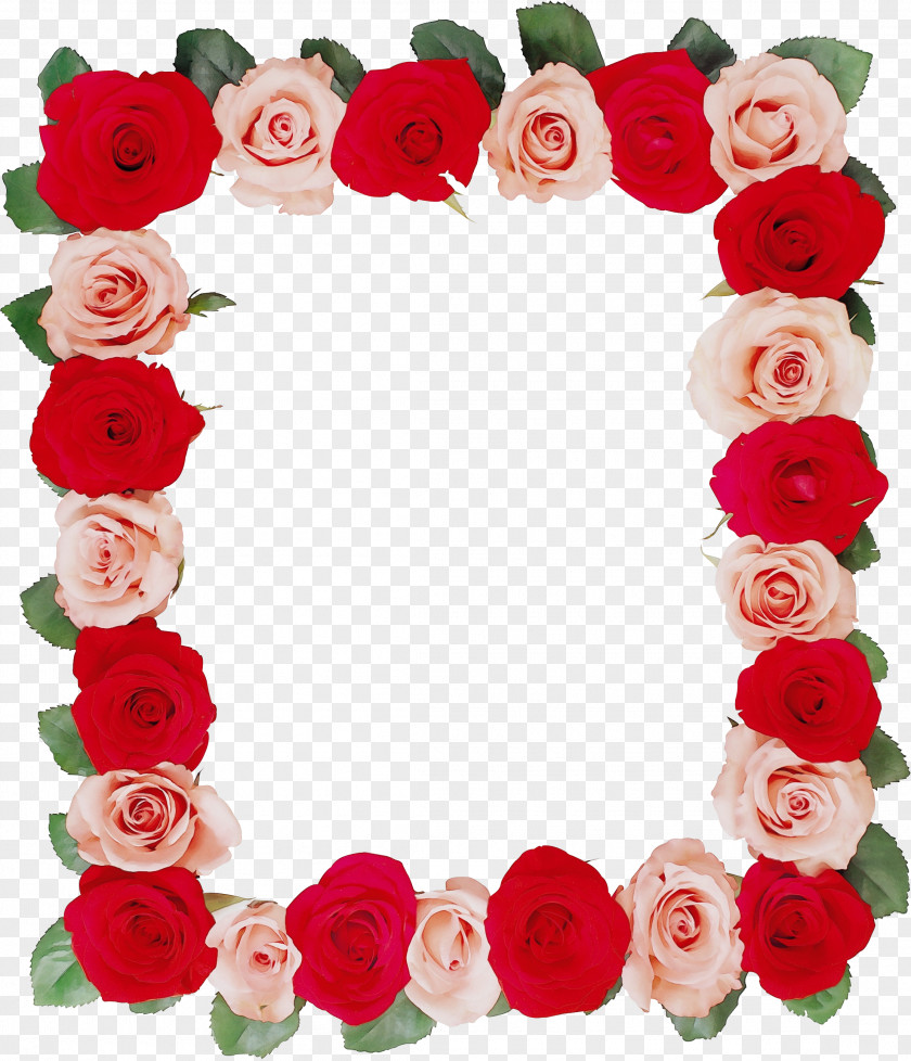 Garden Roses PNG