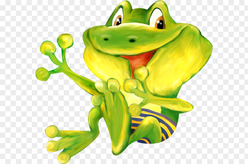 Green Frogs Frog Drawing PNG