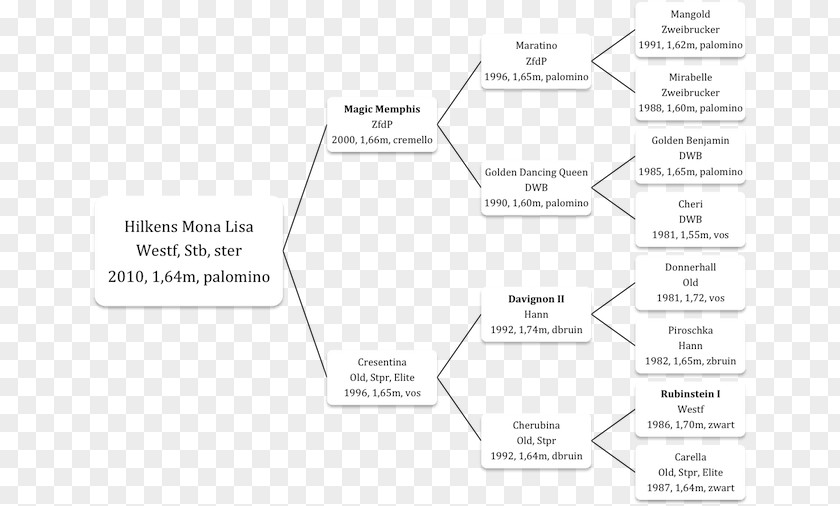 Line Brand Angle Diagram PNG