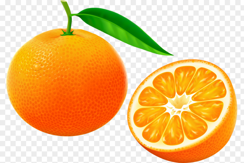 Orange Tangerine Mandarin Grapefruit Clementine PNG