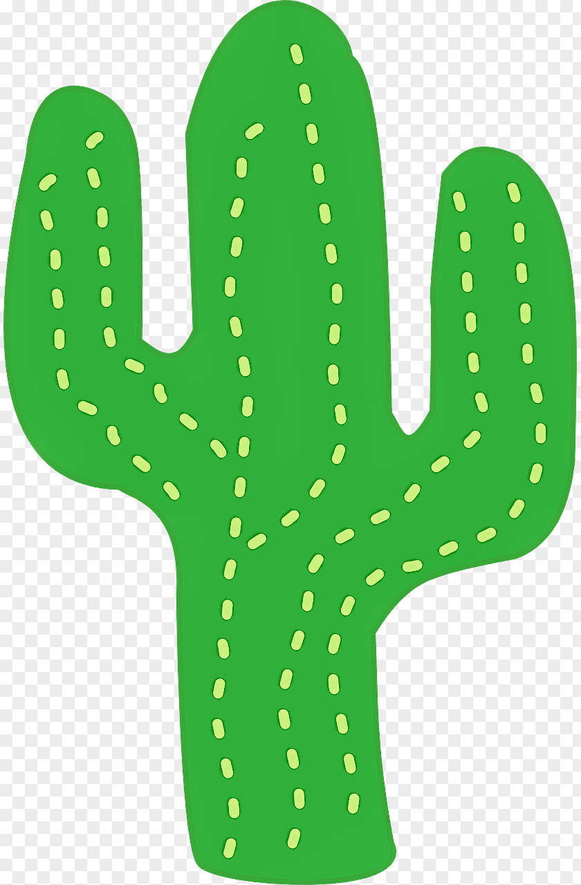 Plant Cactus PNG