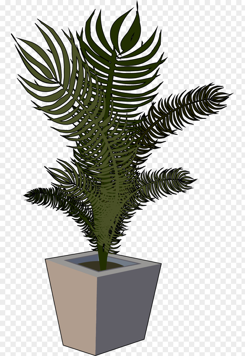 Plant Flowerpot Houseplant Tree Technology PNG