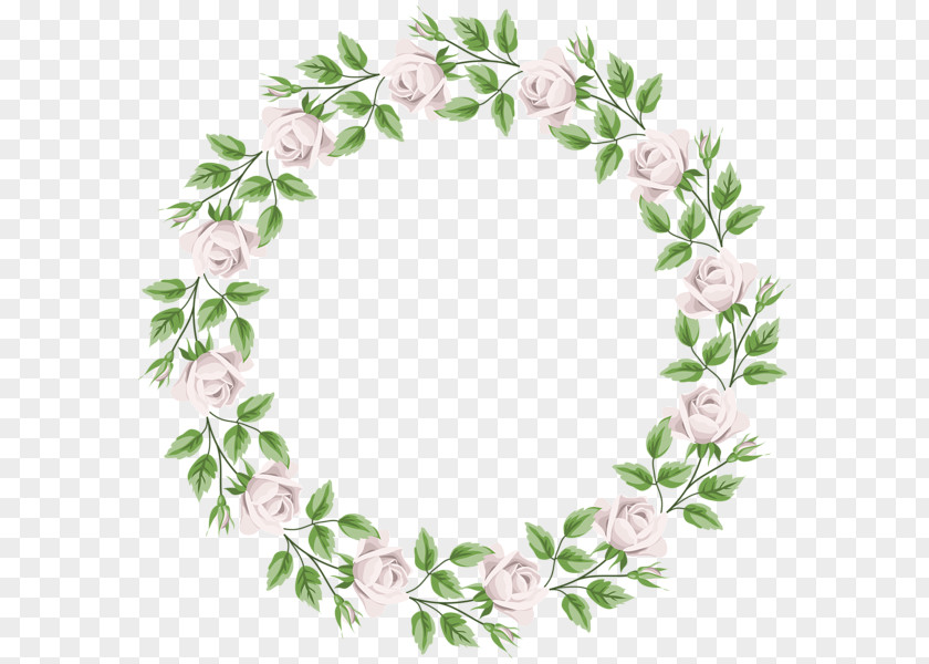 White Rose Borders And Frames Pink Clip Art PNG