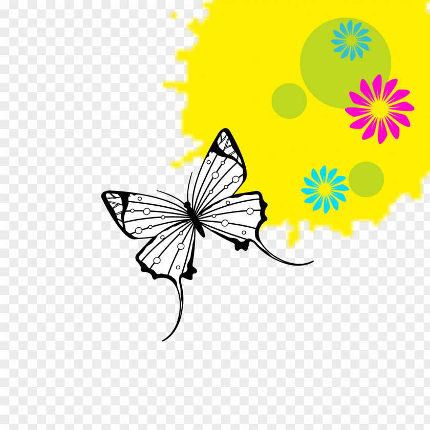 Butterfly Euclidean Vector PNG