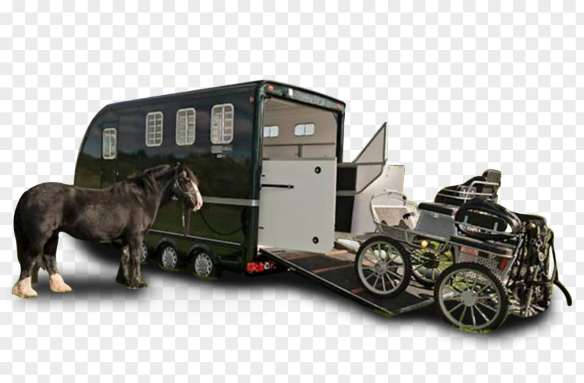 Carriage Horse & Livestock Trailers Motor Vehicle PNG
