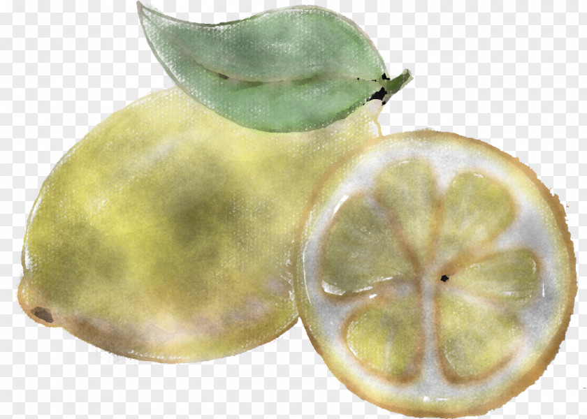 Food Plant Fruit Lemon Citrus PNG