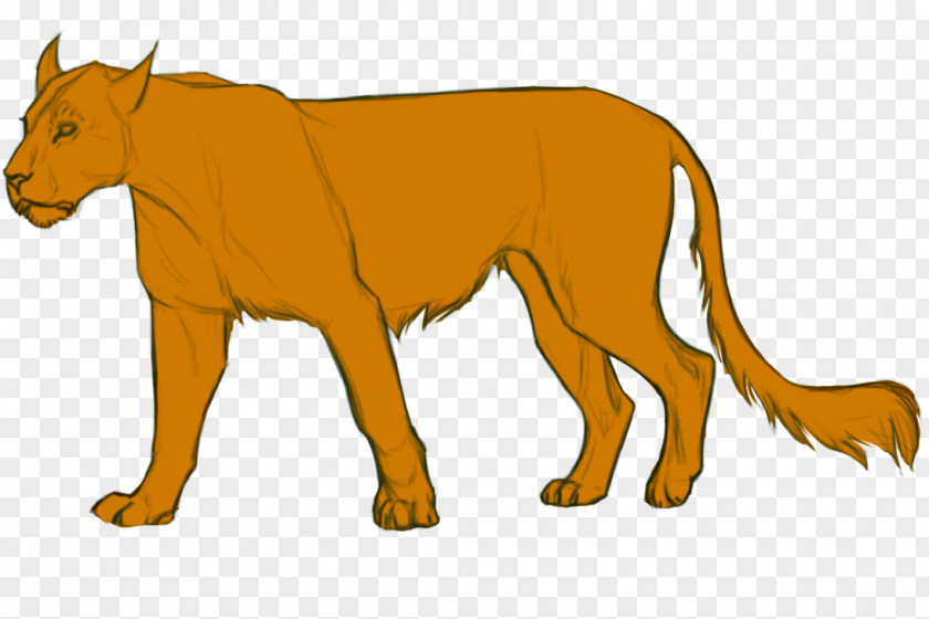 Lion Dog Cat Mammal Terrestrial Animal PNG