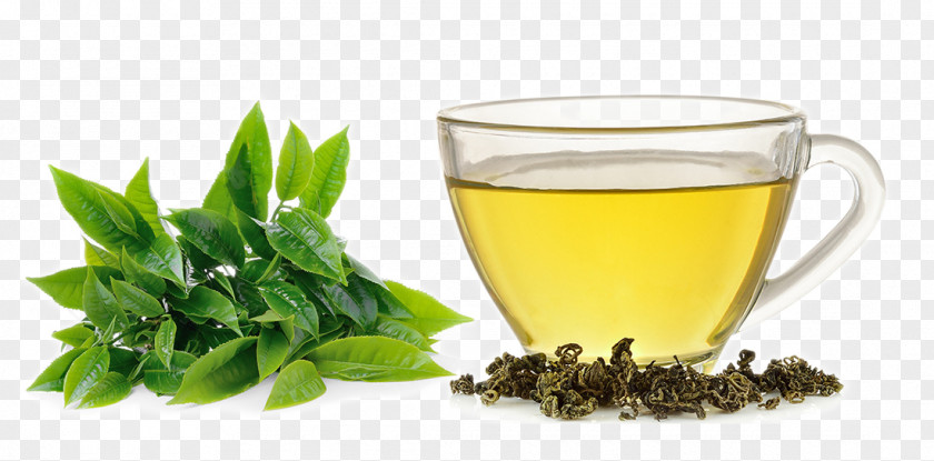 Wet Tea And Lemonade HD Photograph Green White Extract Camellia Sinensis PNG