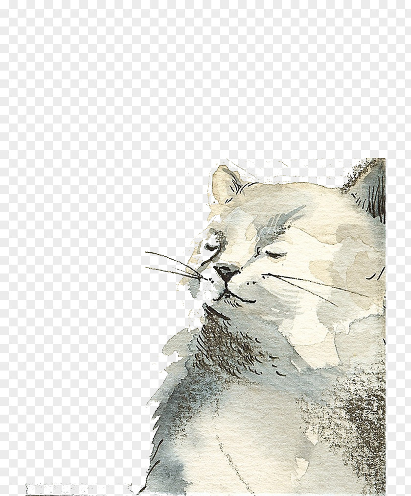 White Cat Kitten Drawing Watercolor Painting Illustration PNG