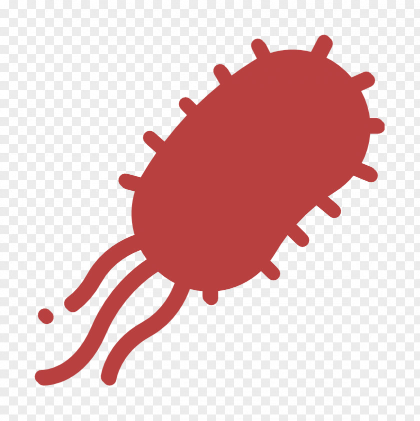 Bacteria Icon Biology PNG