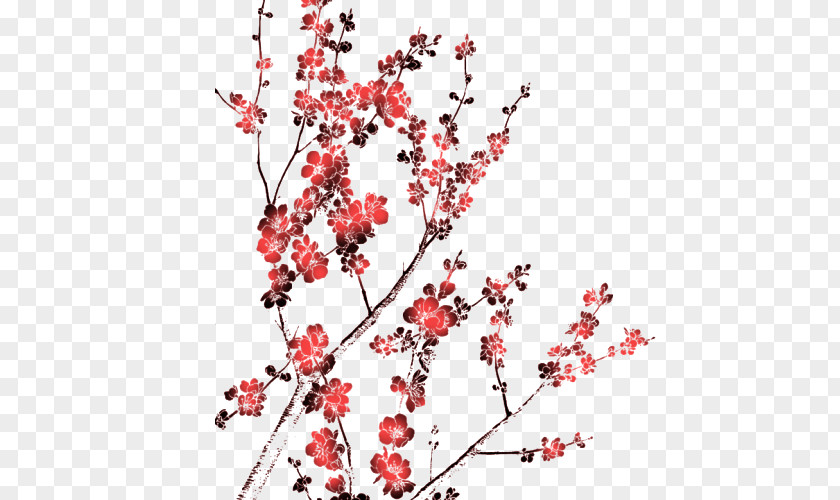Cherry Blossoms National Blossom Festival PNG