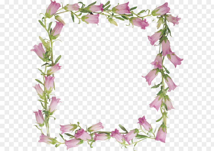Lily Of The Valley Floral Design Lilium Picture Frames Flower PNG