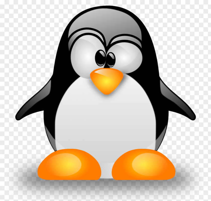 Linux Logo Distribution Operating System Kernel PNG