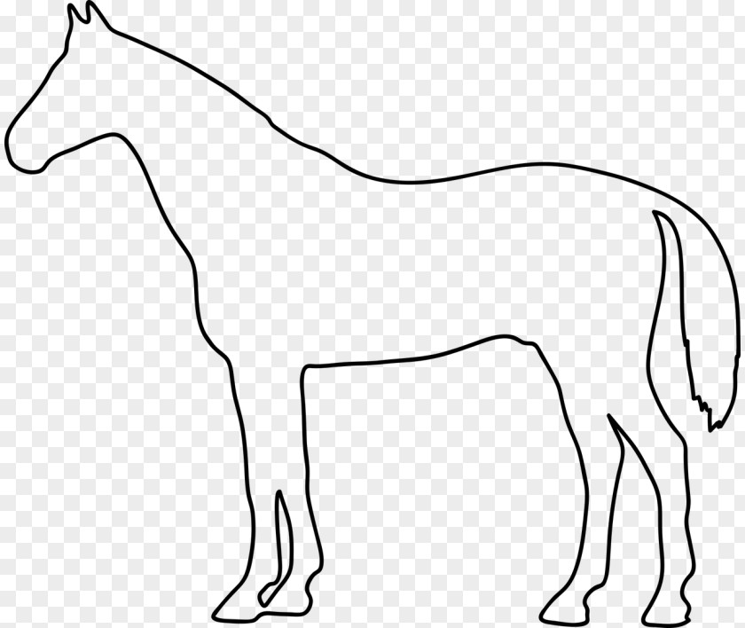 Mule Konik Foal Pony Clip Art PNG