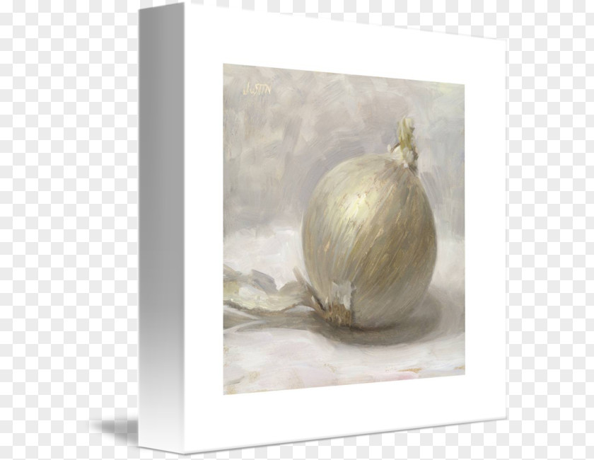 Onion Watercolor Still Life Photography PNG