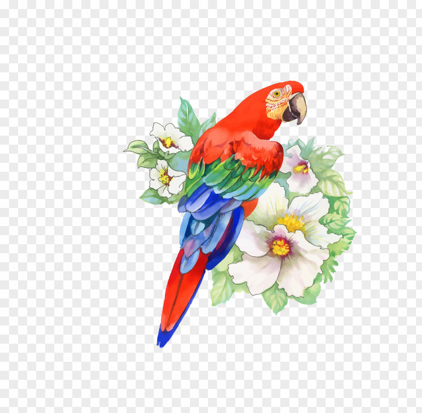 Parrot Bird Flower Drawing PNG