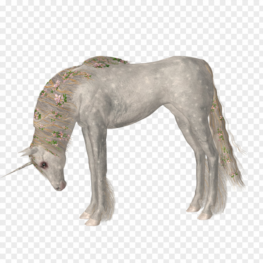 Unicorn Horse Euclidean Vector PNG
