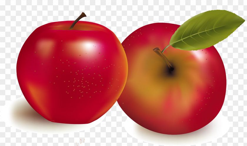 Vector Hand-painted Apples Fruit Royalty-free Stock Photography Illustration PNG