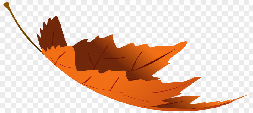 Autumn Leaves Leaf Color Clip Art PNG