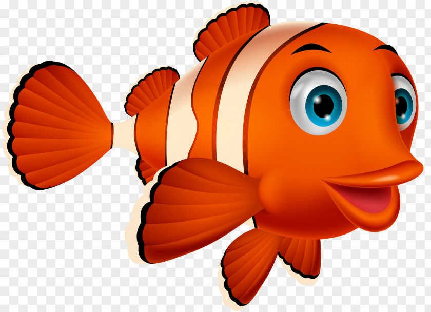 Clownfish Vector Graphics Clip Art Illustration Stock Photography Image PNG