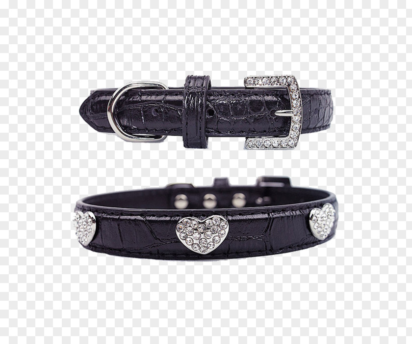 Dog Collars Belt Buckles Watch Strap PNG