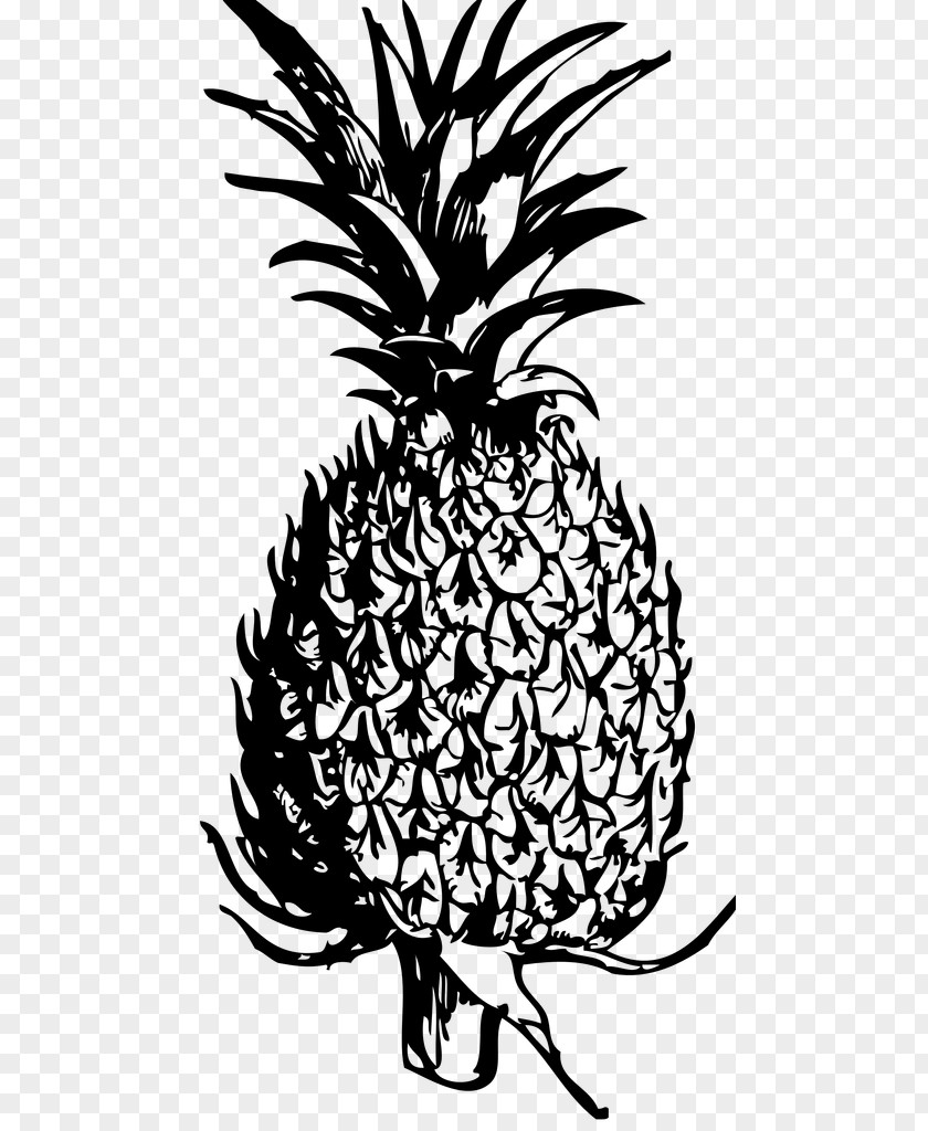 Pineapple Blog Black And White Clip Art PNG