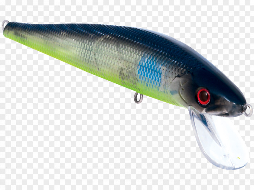 Water Sardine Stick Master Oily Fish Milkfish PNG