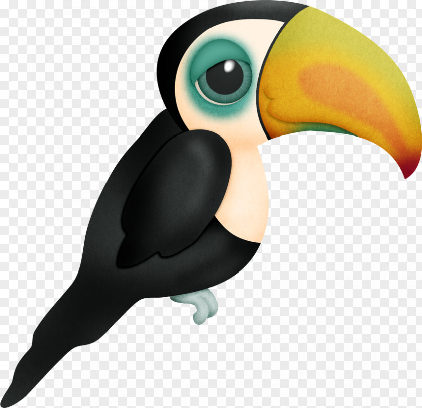 Watercolor Animals Bird Toucan Animal Drawing Clip Art PNG