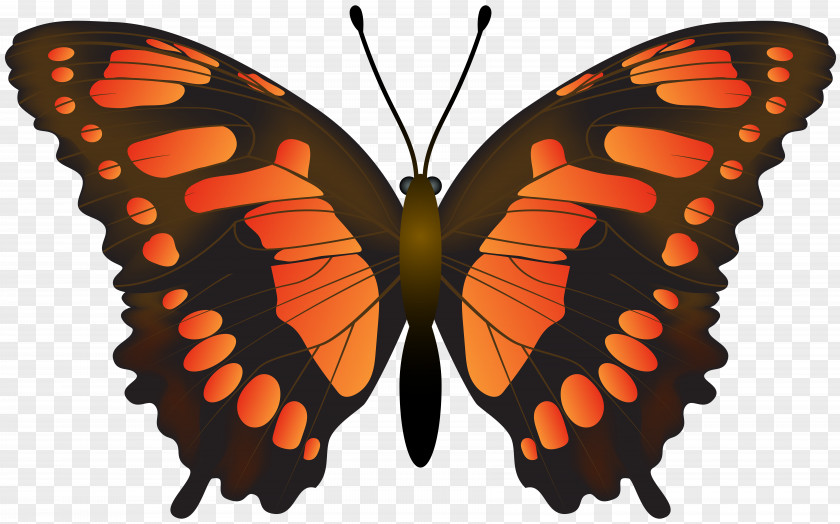 Butterfly Orange Transparent Clip Art Monarch PNG