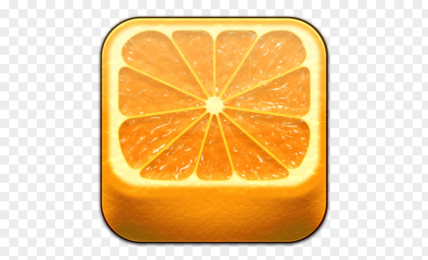 Concentrate Food Citrus Fruit Orange PNG