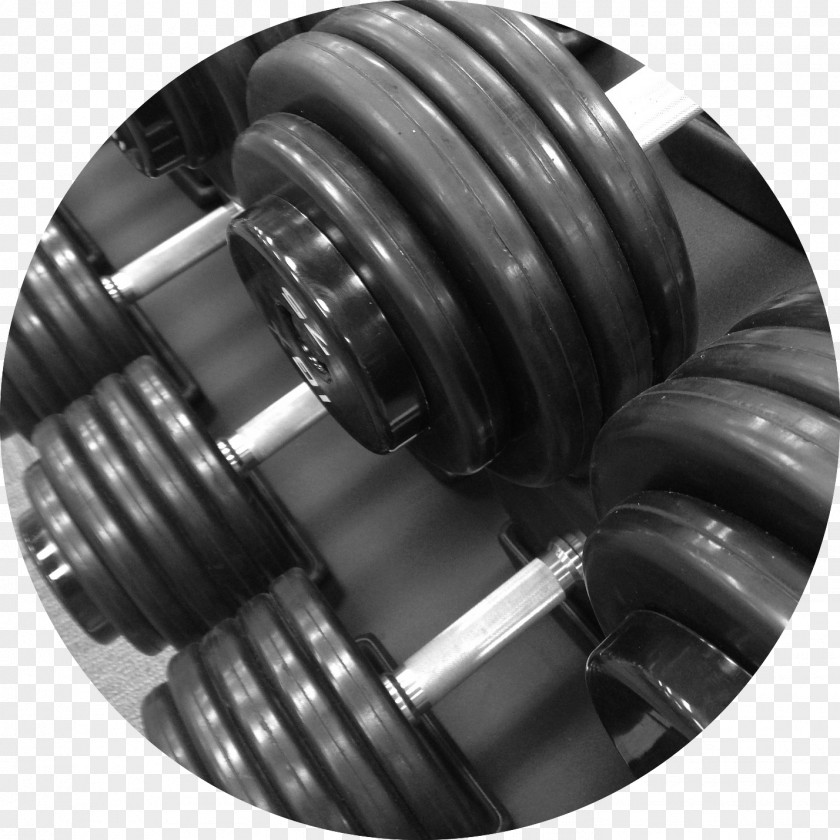 Dumbbell Desktop Wallpaper Exercise Weight Training Fitness Centre PNG