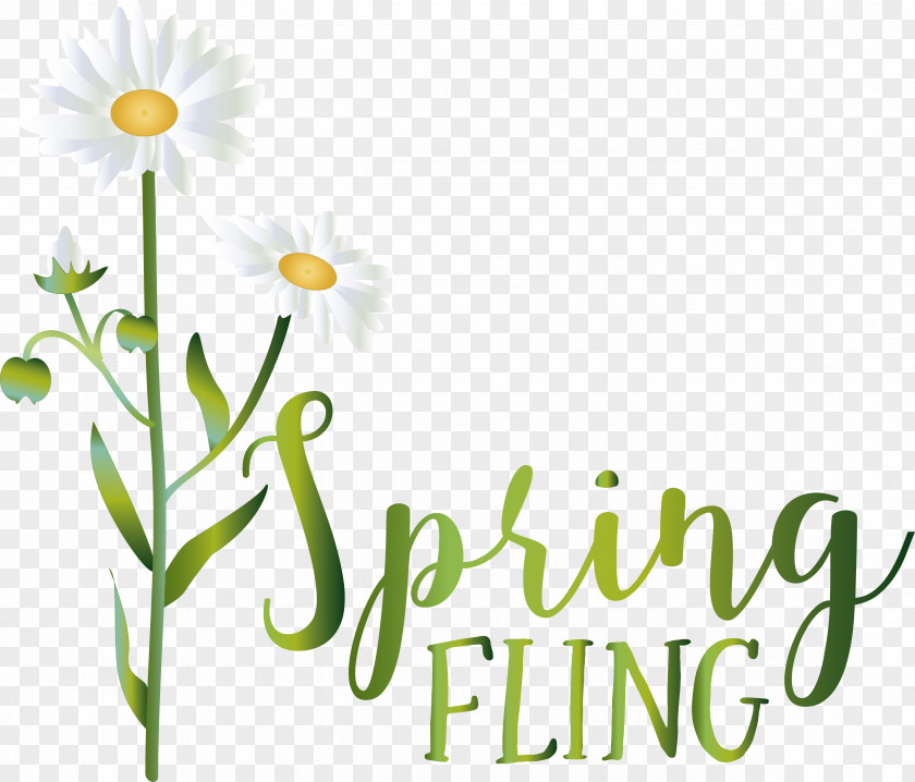 Floral Design PNG