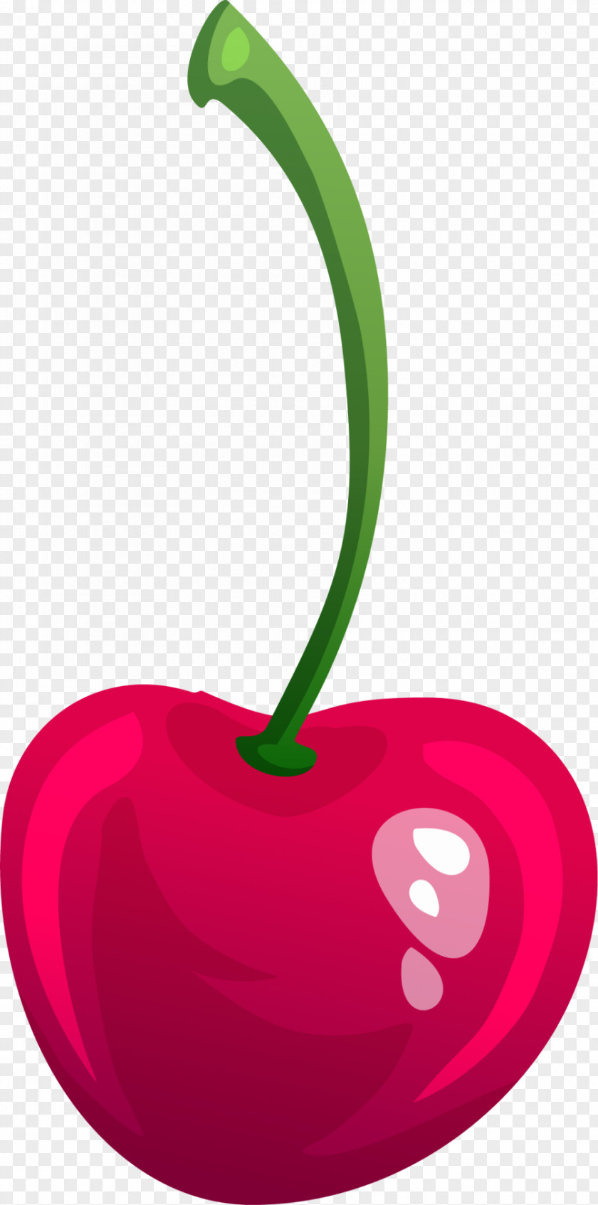 Hand Painted Red Cherry Cerise PNG
