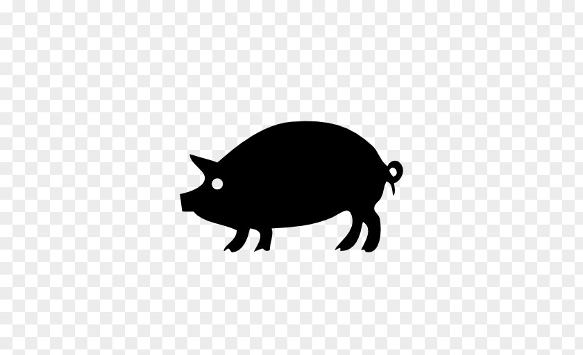 Pigs Pig Drawing Clip Art PNG